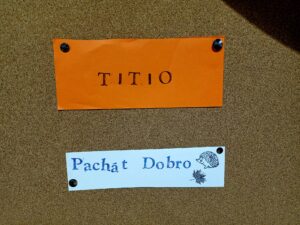 dobrovolnictví