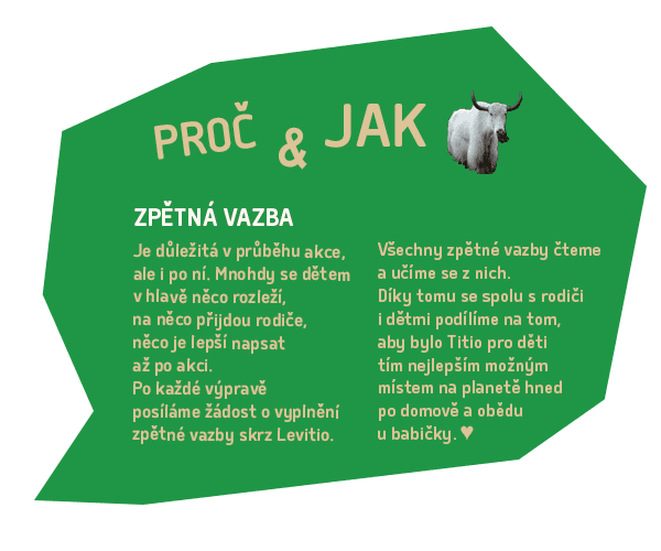 zpětná vazba