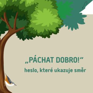 Co jsme napáchali v roce 2025 (výročka 2025) 17 výročka